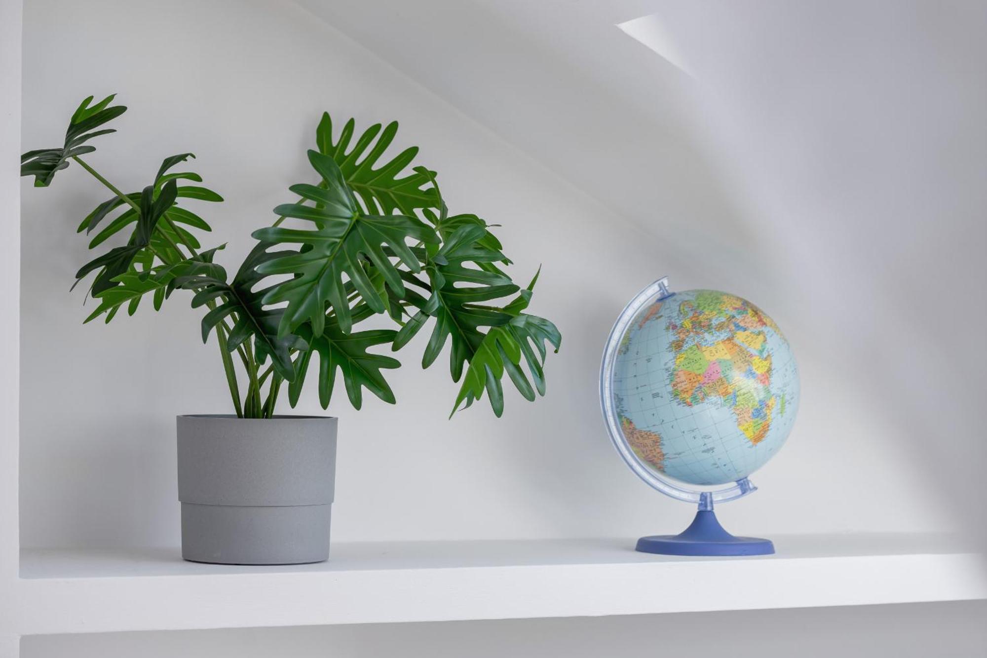 Starowislna With Ac & Pet-friendly By Renters Apartament *